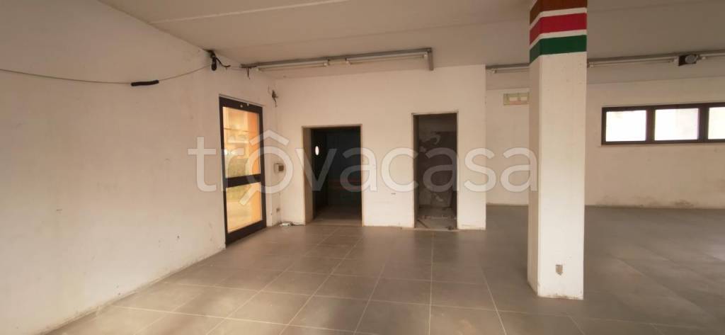 immagine annuncio 4 di 14