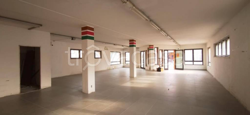 immagine annuncio 5 di 14