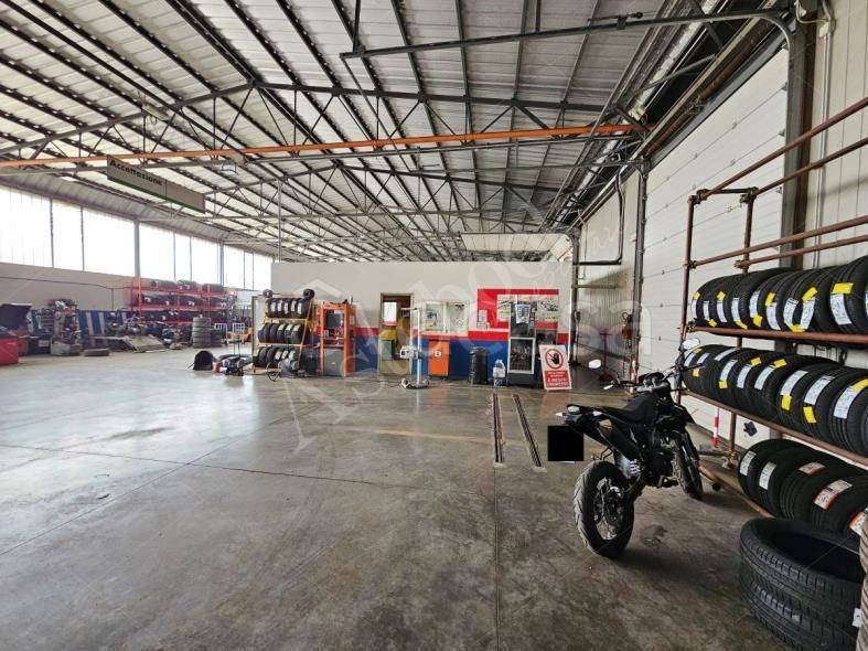 immagine annuncio 3 di 9