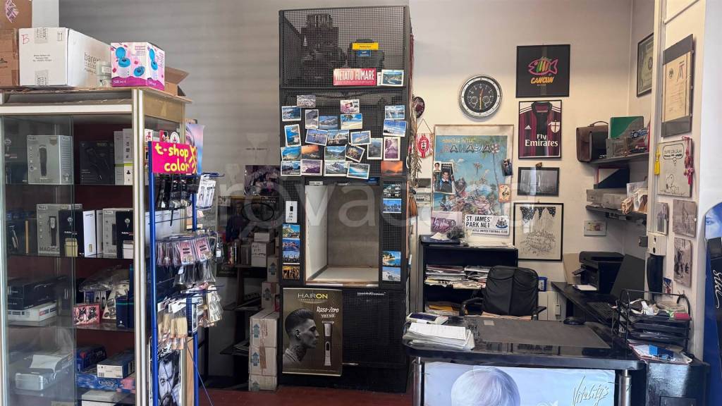 immagine annuncio 6 di 15