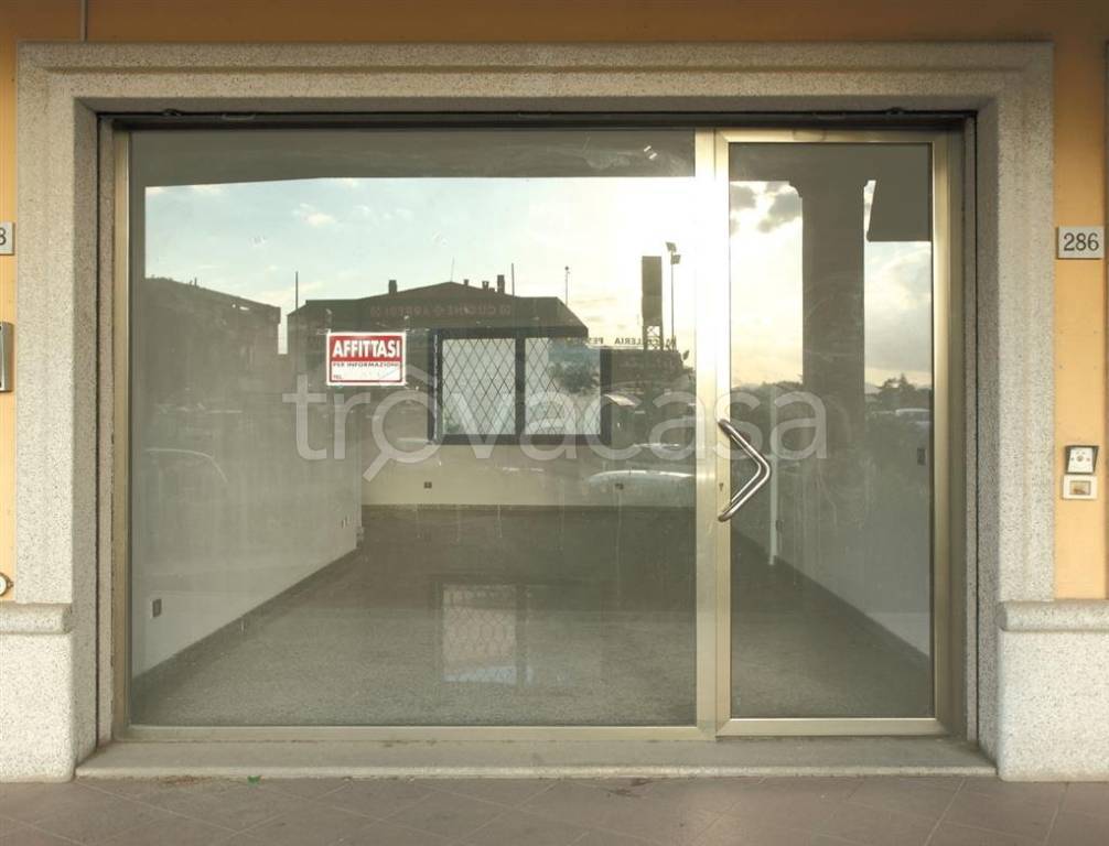 immagine annuncio 3 di 6