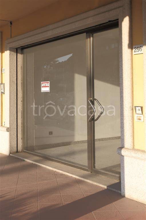 immagine annuncio 4 di 6