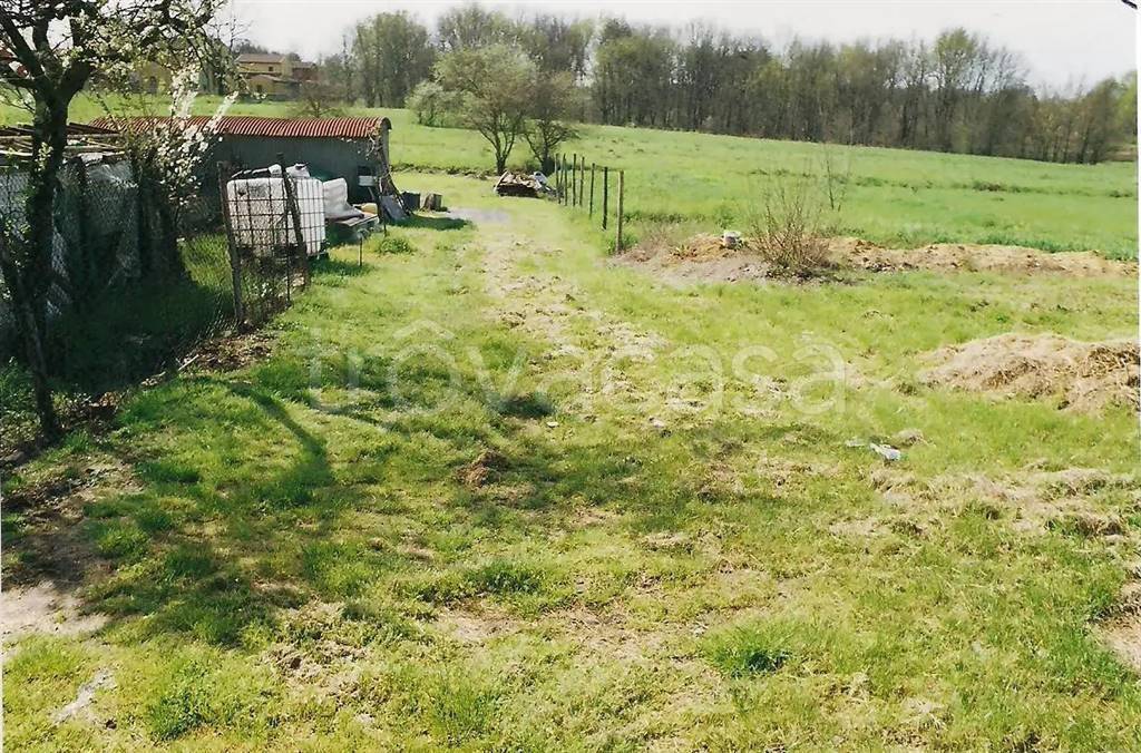 immagine annuncio 6 di 15