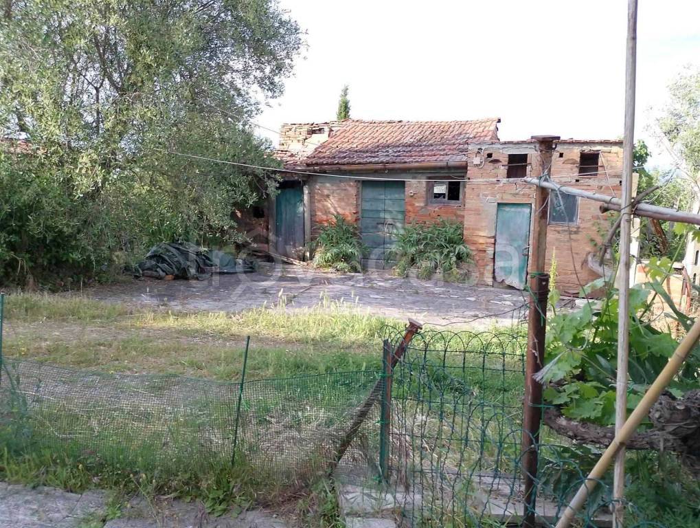 immagine annuncio 1 di 8
