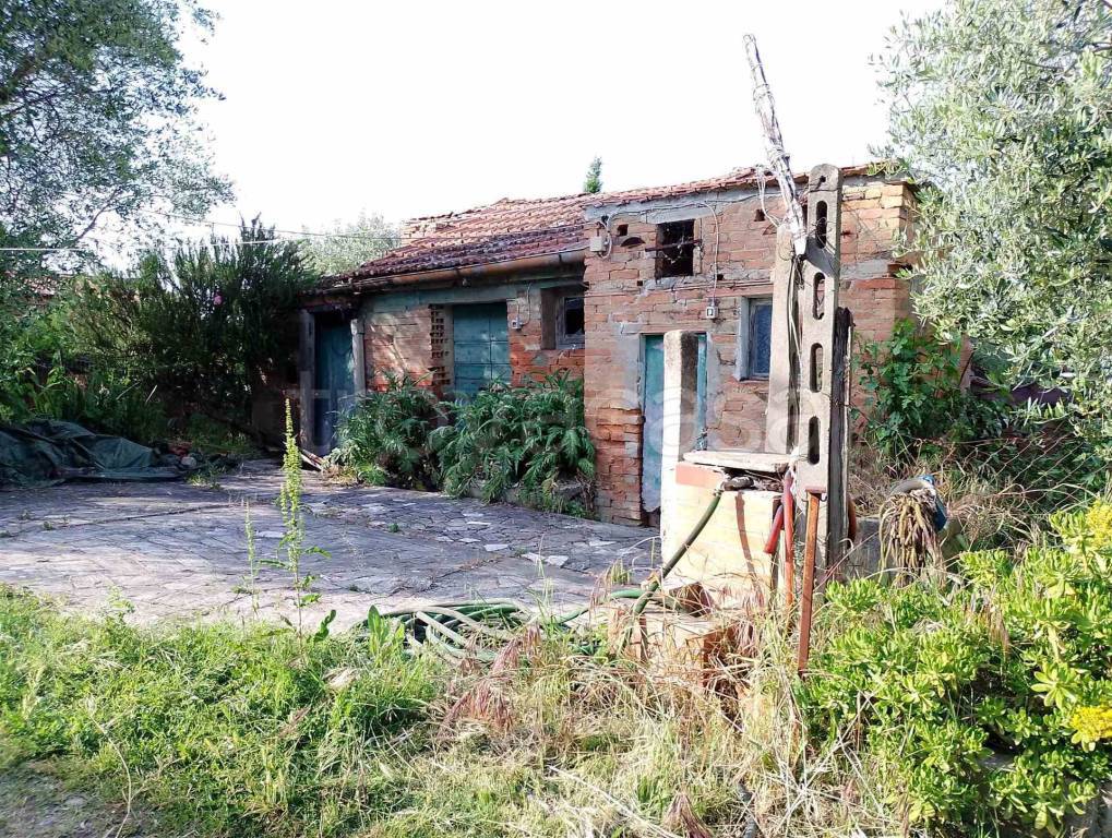 immagine annuncio 2 di 8