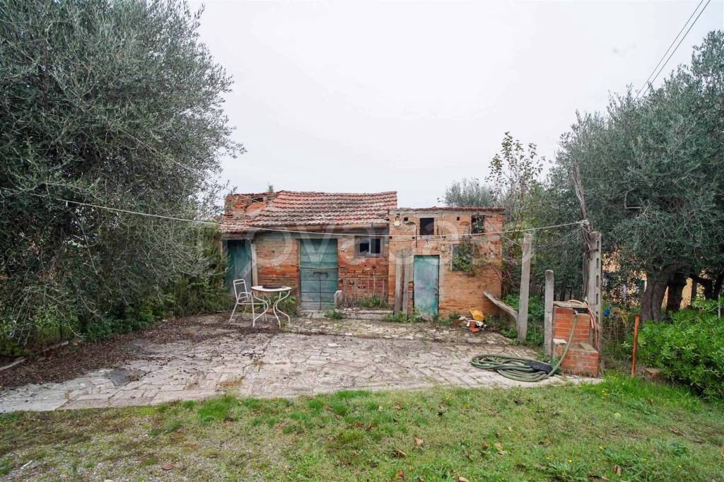 immagine annuncio 3 di 8
