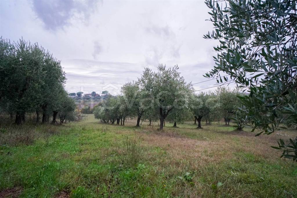 immagine annuncio 6 di 8
