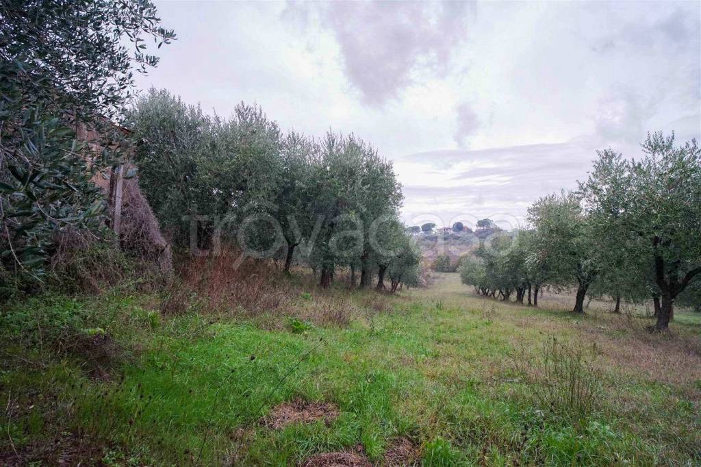 immagine annuncio 7 di 8