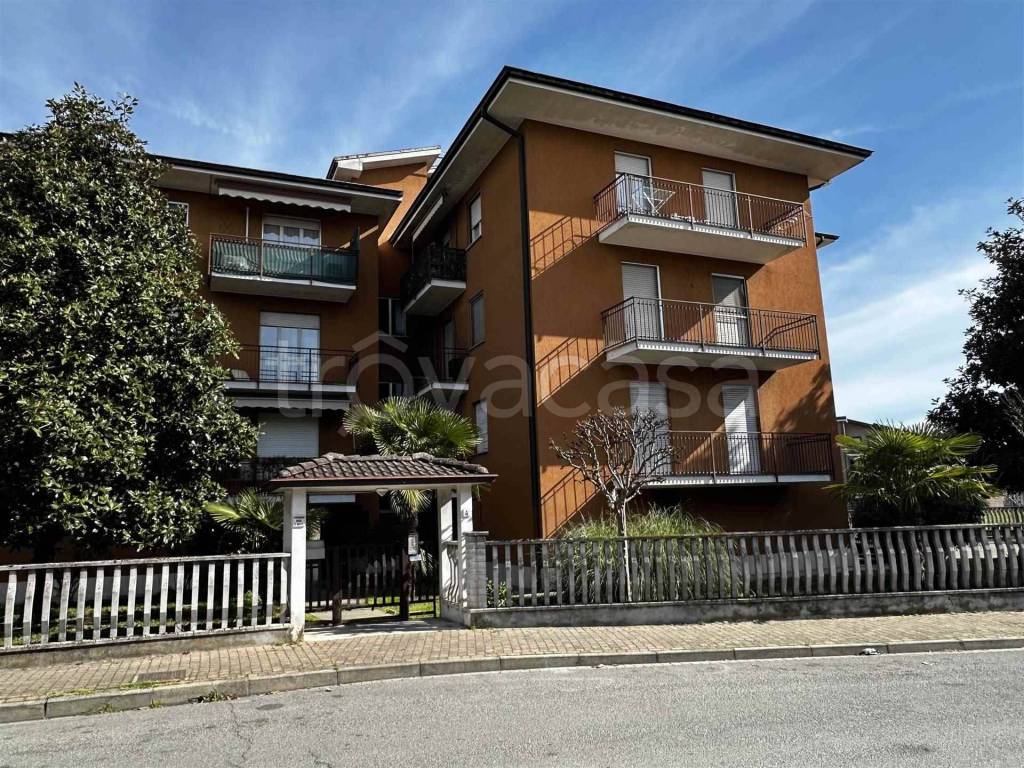 immagine annuncio 2 di 15