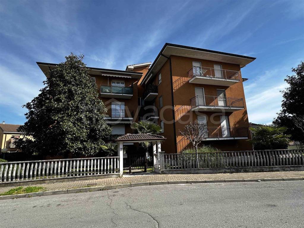 immagine annuncio 3 di 15