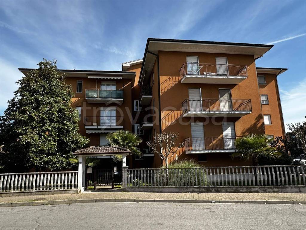 immagine annuncio 4 di 15