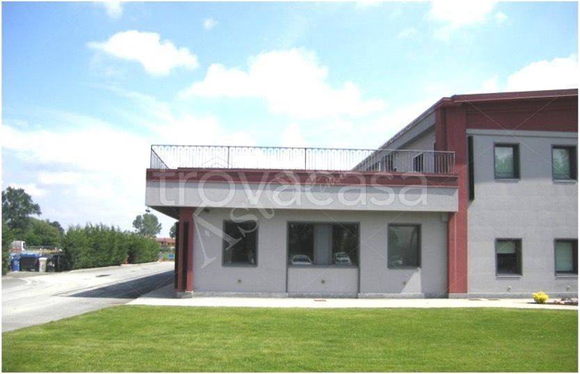 immagine annuncio 2 di 6