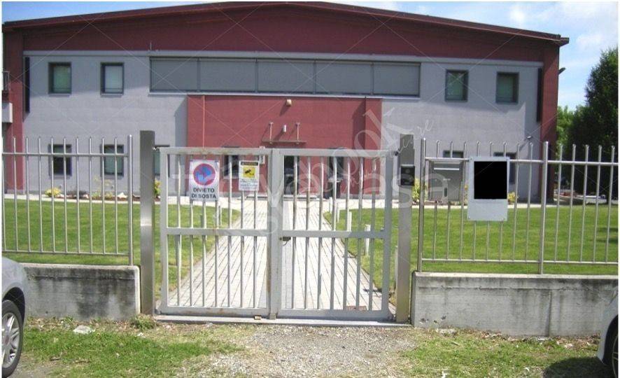 immagine annuncio 3 di 6