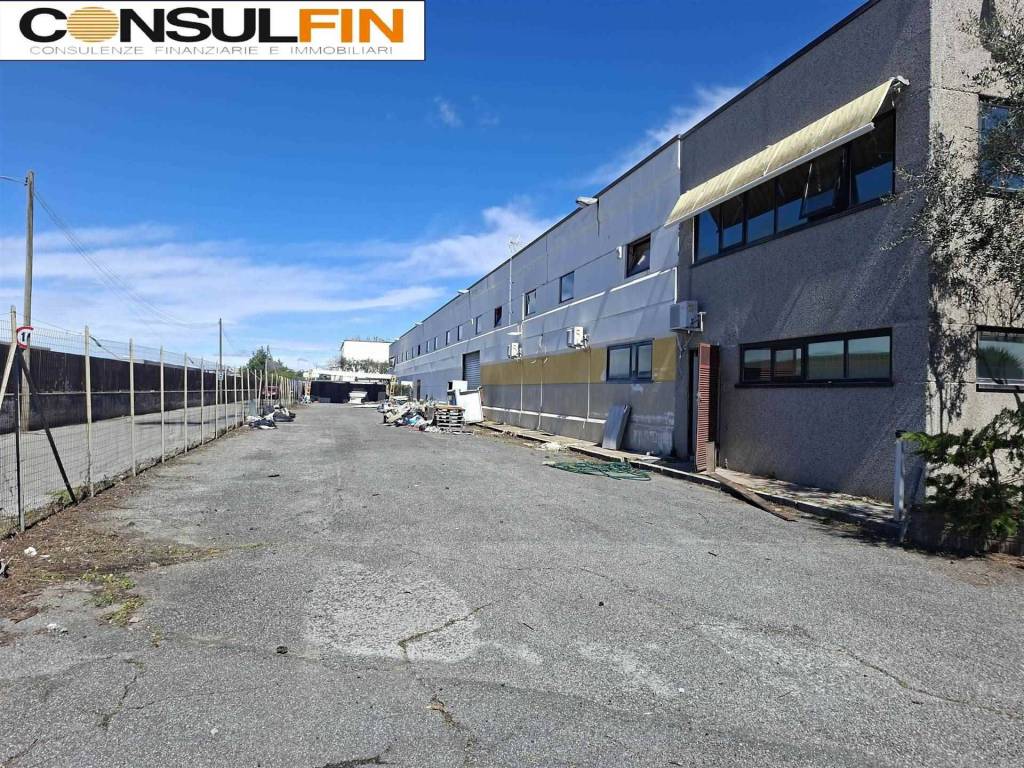 immagine annuncio 3 di 15