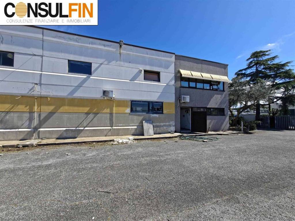 immagine annuncio 4 di 15