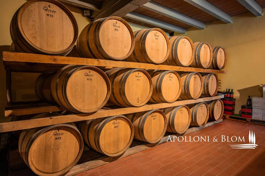 immagine annuncio 13 di 15
