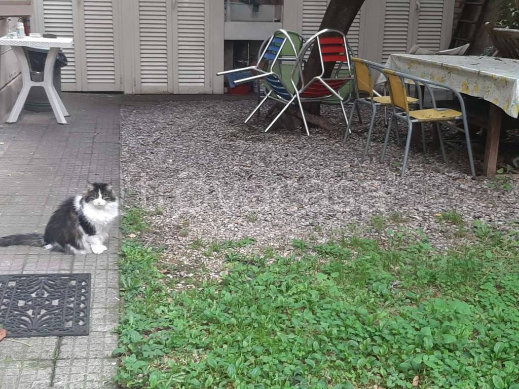 immagine annuncio 11 di 14