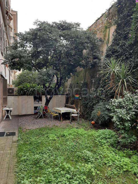 immagine annuncio 12 di 14