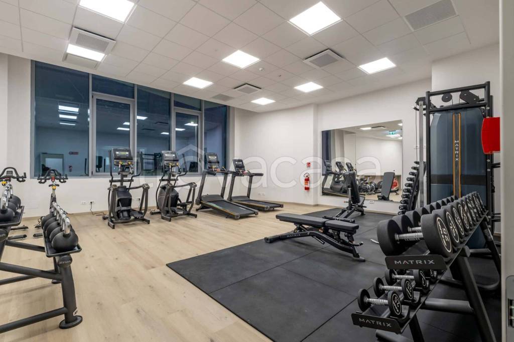 immagine annuncio 9 di 12