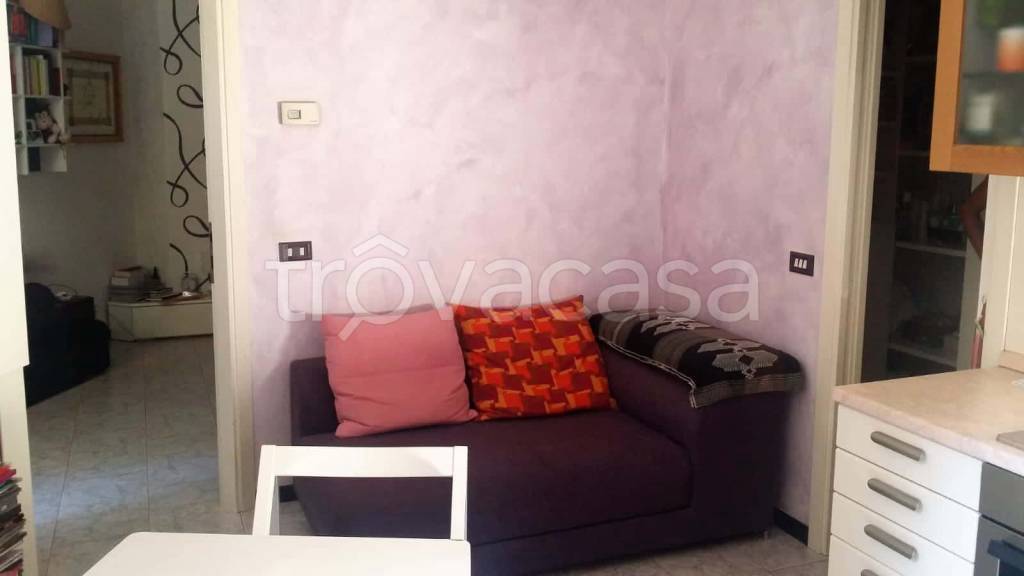 immagine annuncio 4 di 14