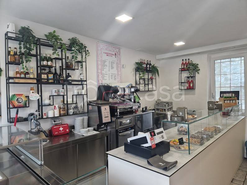 immagine annuncio 5 di 12