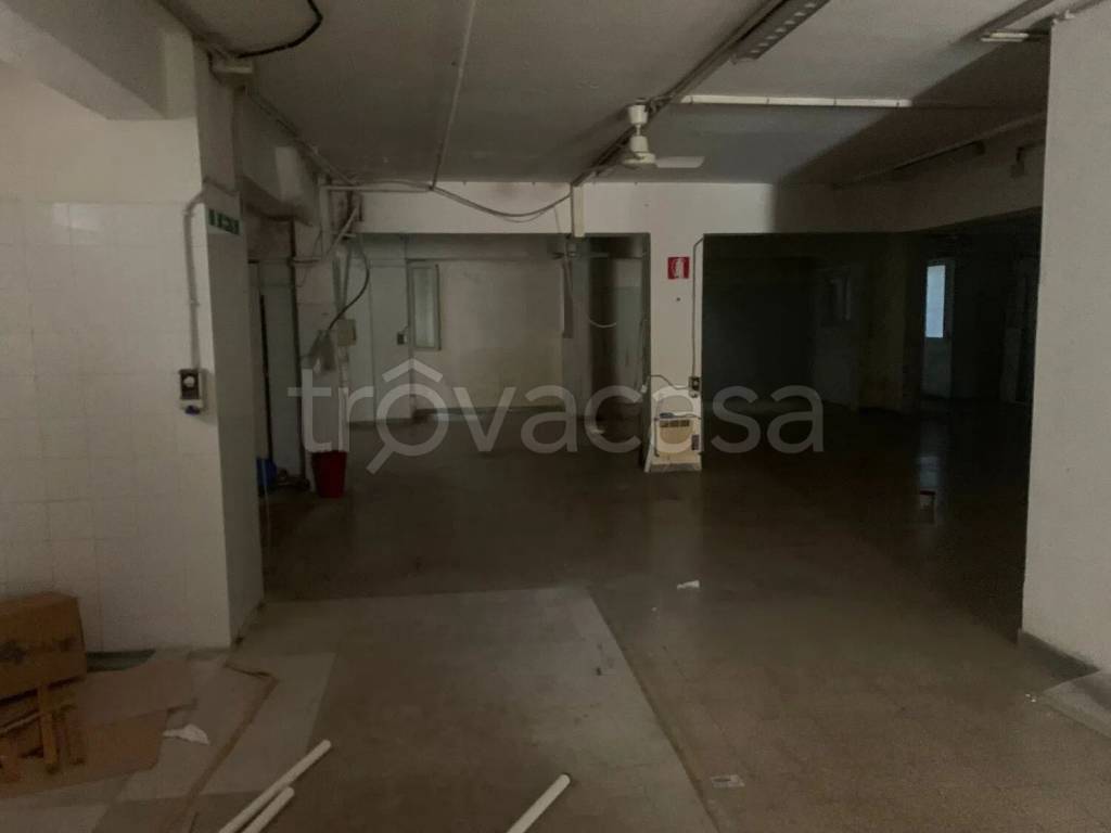 immagine annuncio 7 di 12