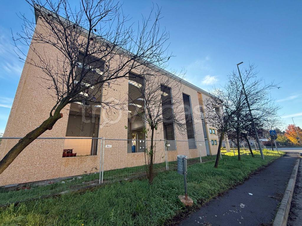 immagine annuncio 3 di 8