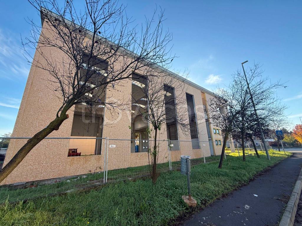 immagine annuncio 5 di 8