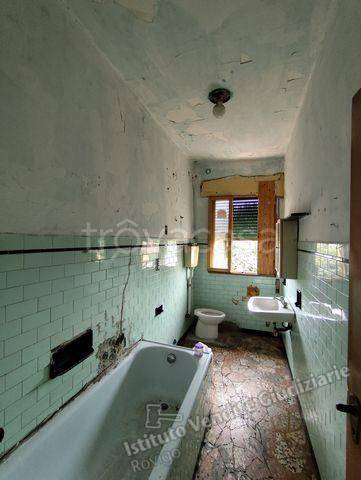 immagine annuncio 7 di 14