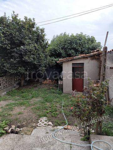 immagine annuncio 8 di 14