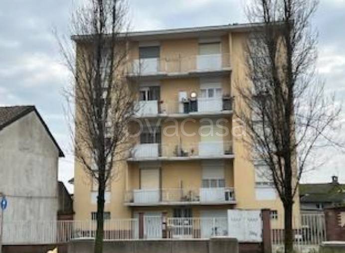 immagine annuncio 4 di 8