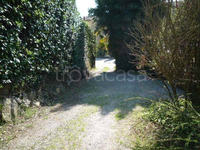 immagine annuncio 4 di 6