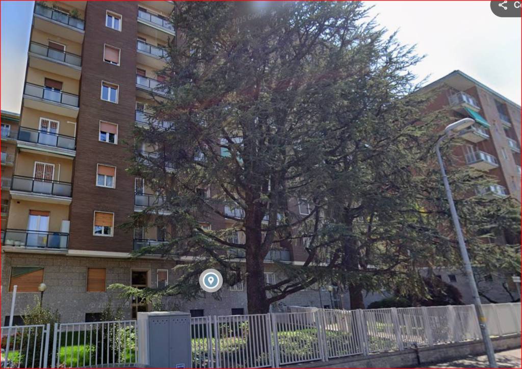 immagine annuncio 1 di 13