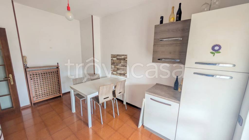 immagine annuncio 9 di 13