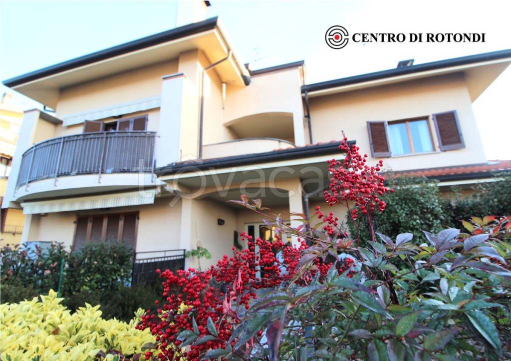 immagine annuncio 2 di 12