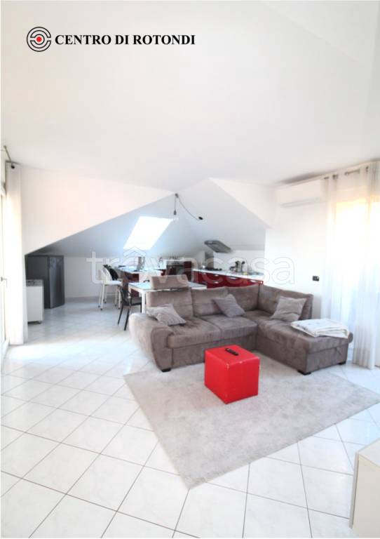 immagine annuncio 3 di 12