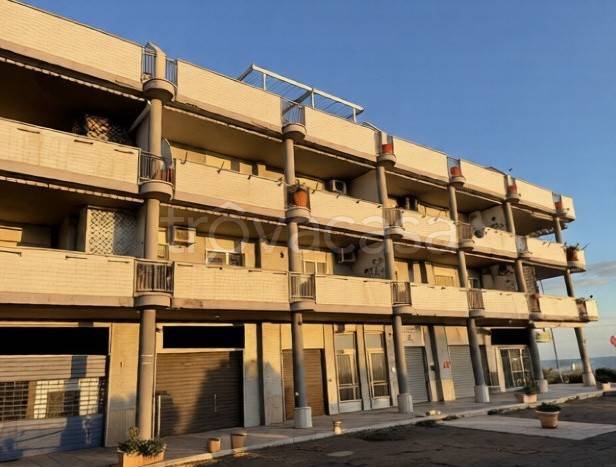 immagine annuncio 1 di 8