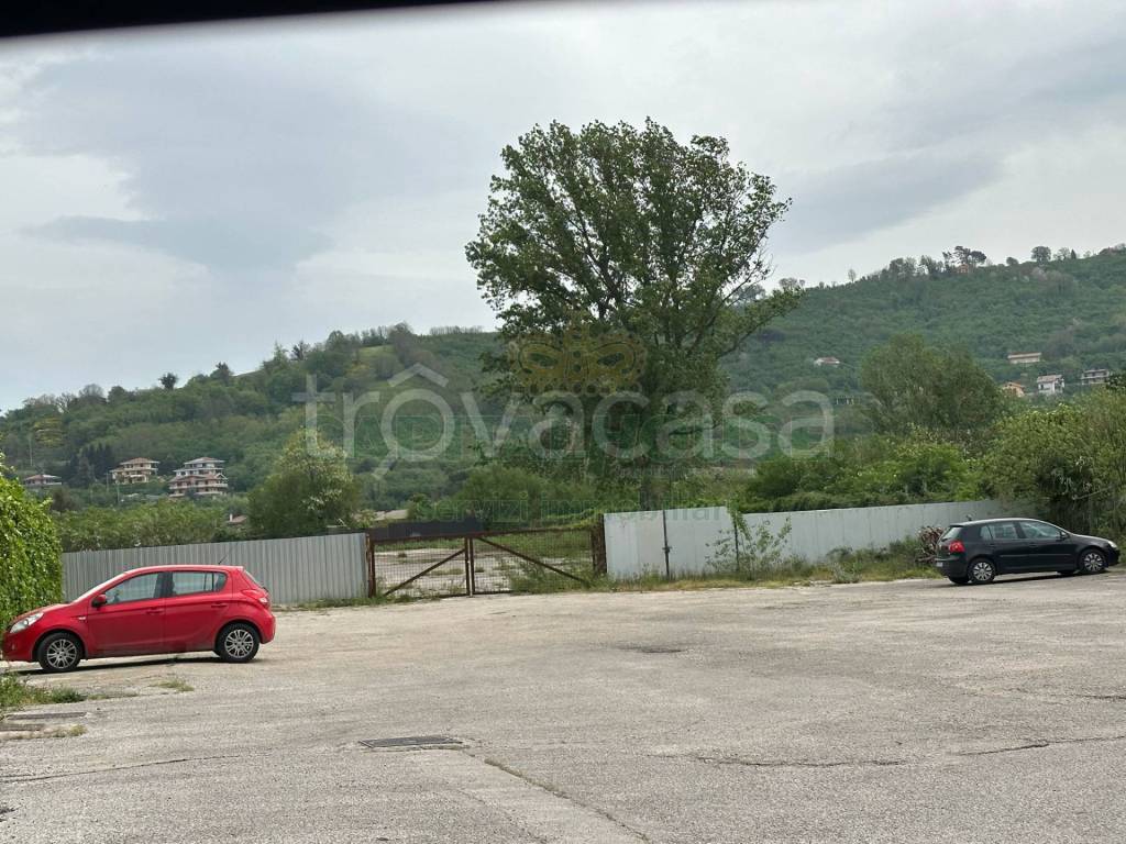 immagine annuncio 2 di 6