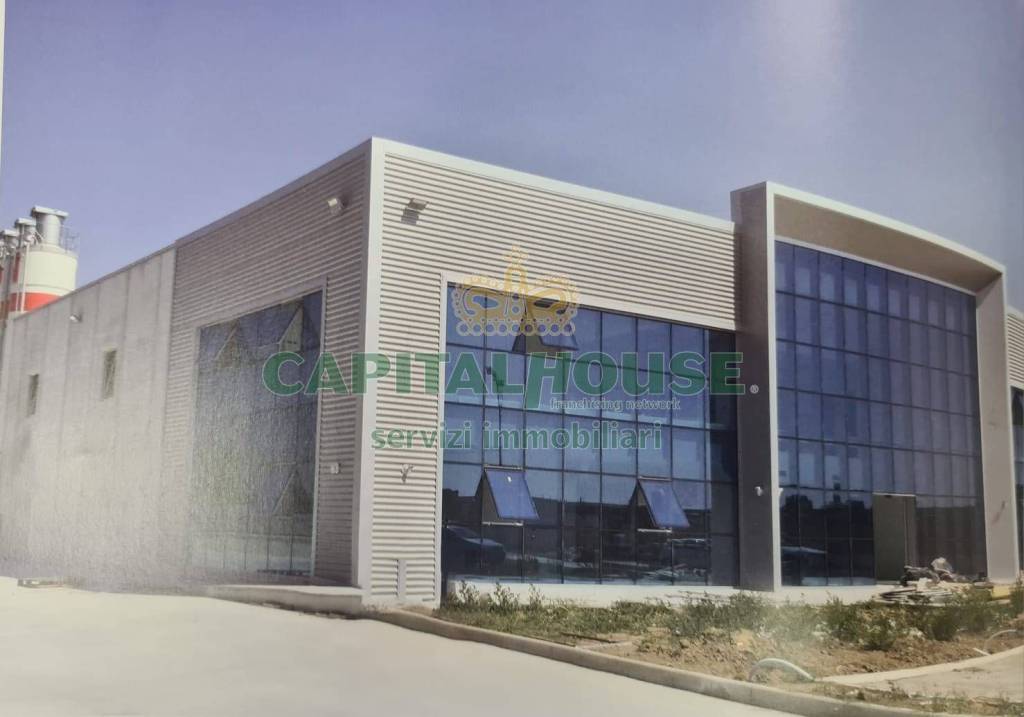 immagine annuncio 1 di 6