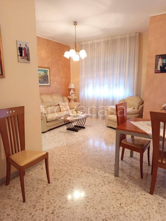 immagine annuncio 5 di 11