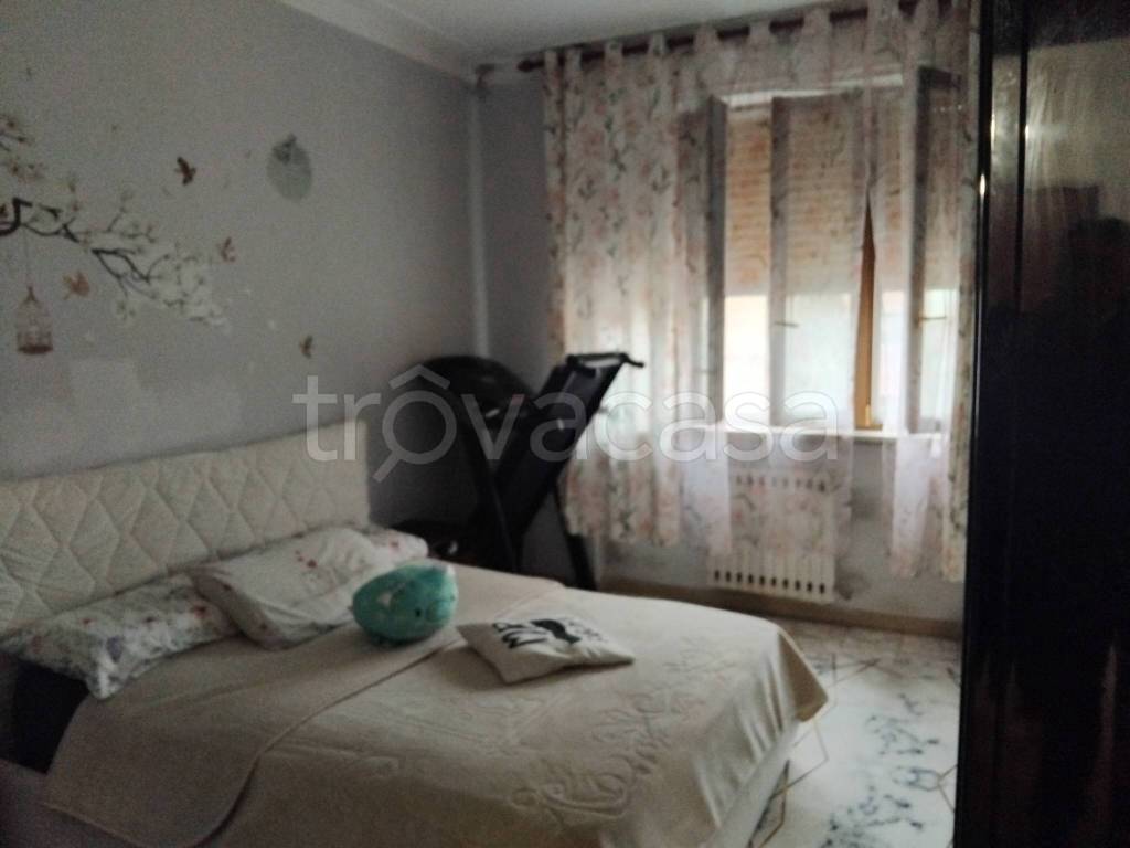 immagine annuncio 6 di 11