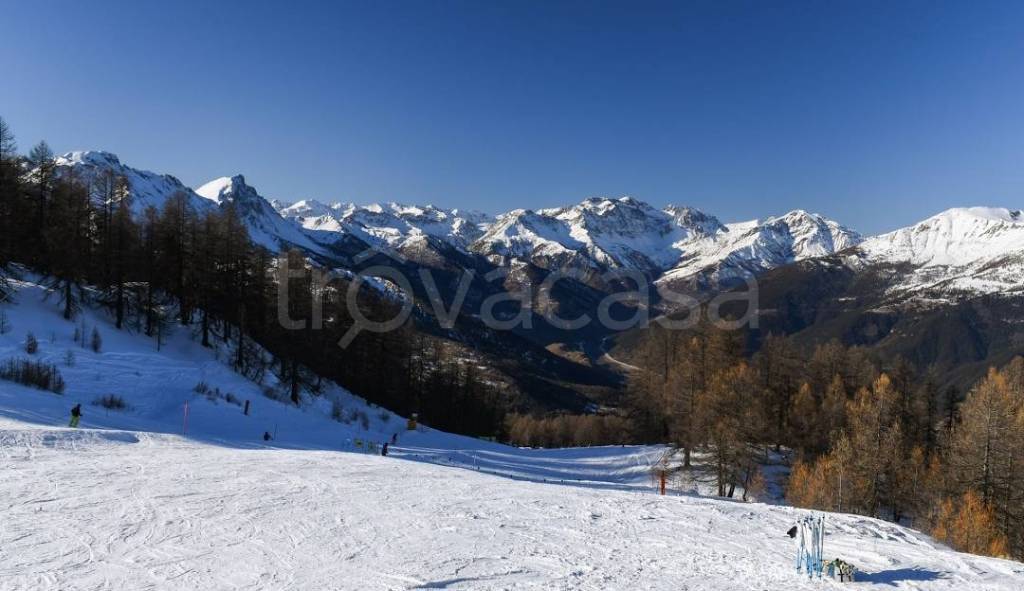 immagine annuncio 6 di 14