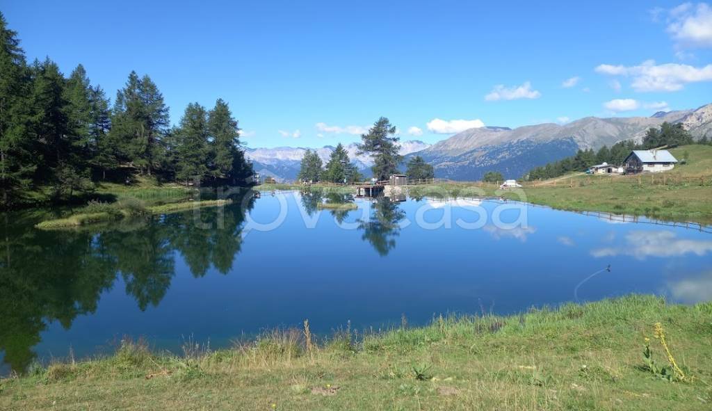 immagine annuncio 9 di 14