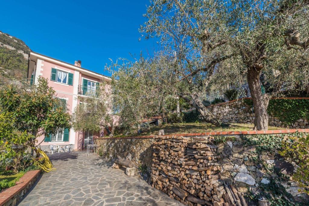 immagine annuncio 5 di 8