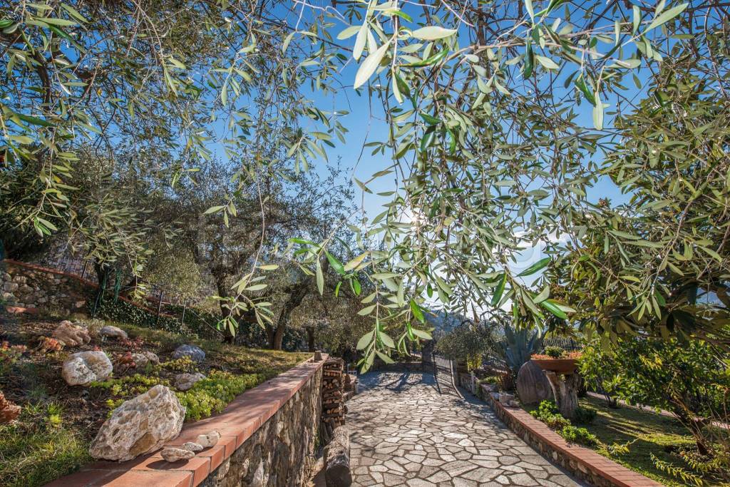 immagine annuncio 7 di 8