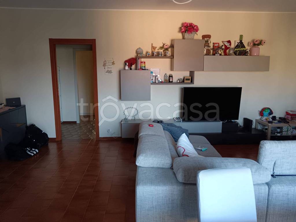 immagine annuncio 3 di 11