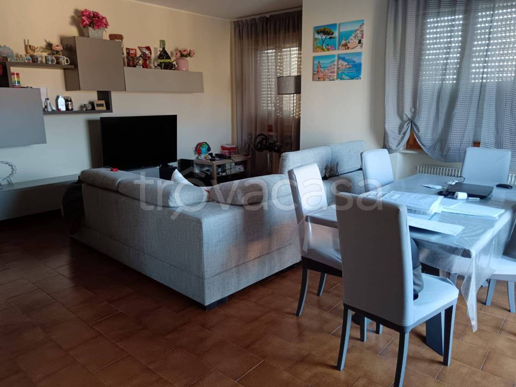 immagine annuncio 5 di 11