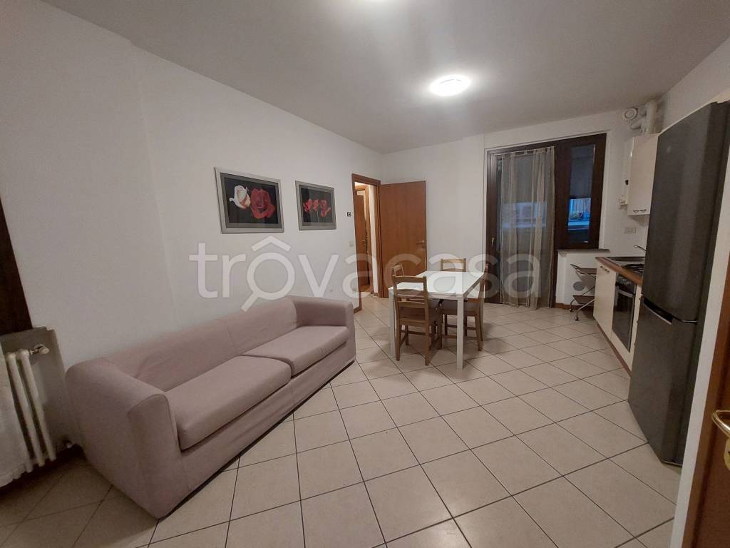 immagine annuncio 3 di 12