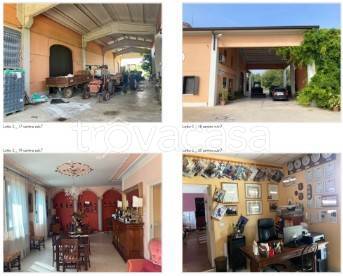 immagine annuncio 1 di 8