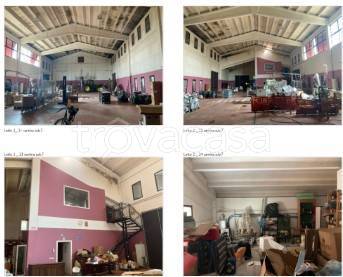 immagine annuncio 2 di 8